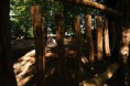 /album/fotogalerie-lesni-park/vozickari-v-parku-iii-jpg/